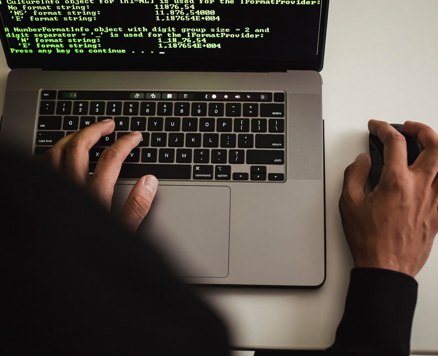 Software Developer